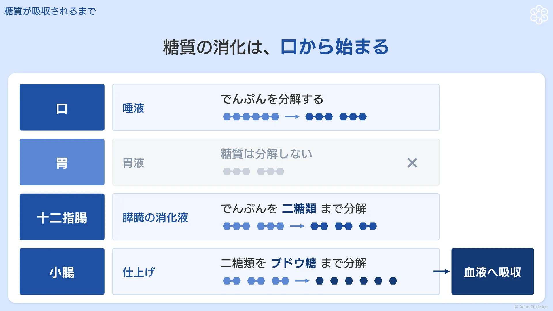糖質が消化される流れ。口では唾液がでんぷんを分解し、胃では分解されず、十二指腸では膵臓の消化液がでんぷんを二糖類まで分解し、小腸で二糖類がブドウ糖まで分解されて血液へ吸収されることを示す図